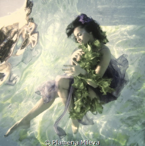 White dreams by Plamena Mileva 